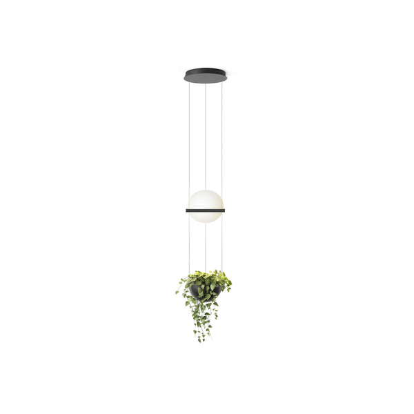 Vibia Palma 3724 Suspension