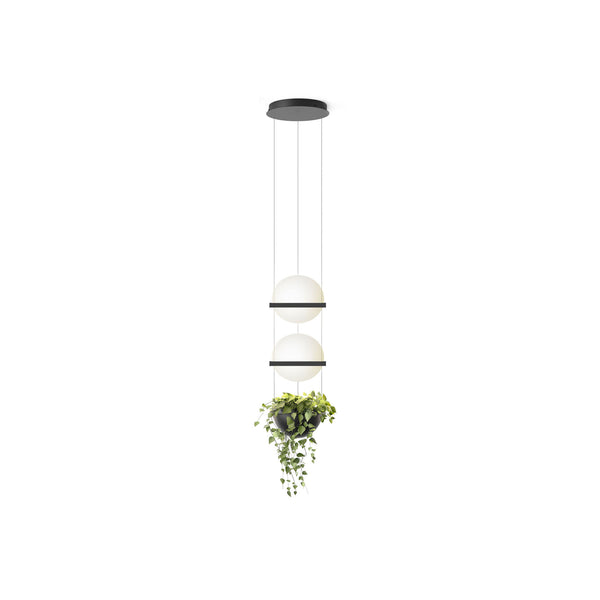 Vibia Palma 3728 Suspension